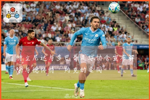 特立尼达与多巴哥足球协会宣布解除与德怀特·约克的合同