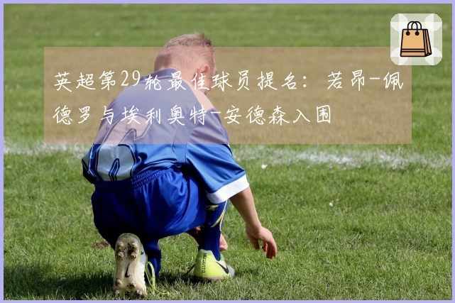 英超第29轮最佳球员提名：若昂-佩德罗与埃利奥特-安德森入围